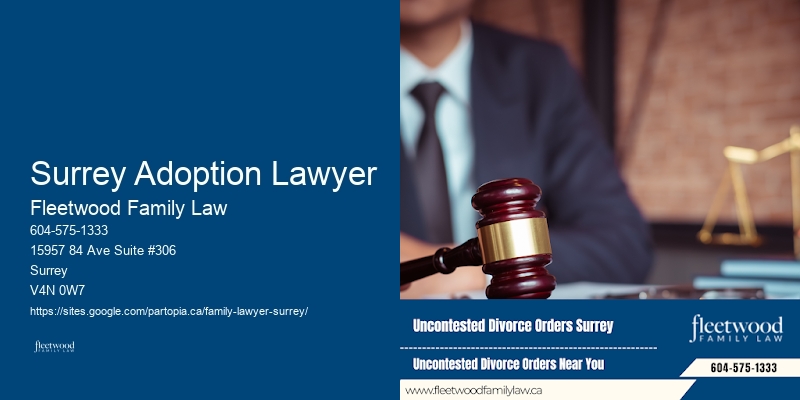 Surrey Adoption Lawyer