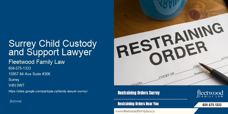 Child Support Lawyer Surrey Child Custody and Support Lawyer