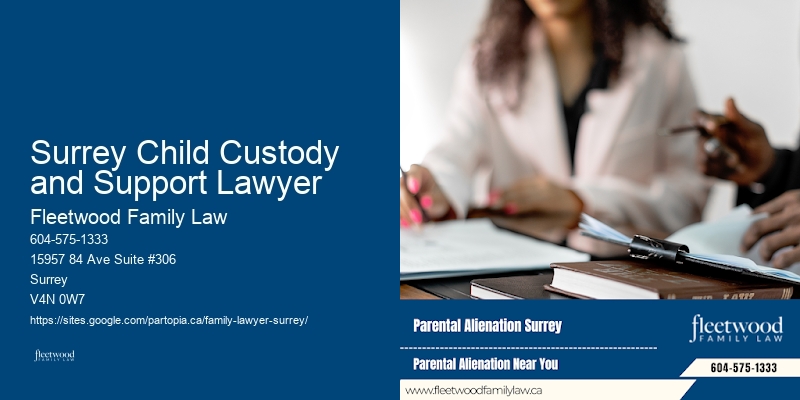 Family Law Surrey Child Custody and Support Lawyer British Columbia