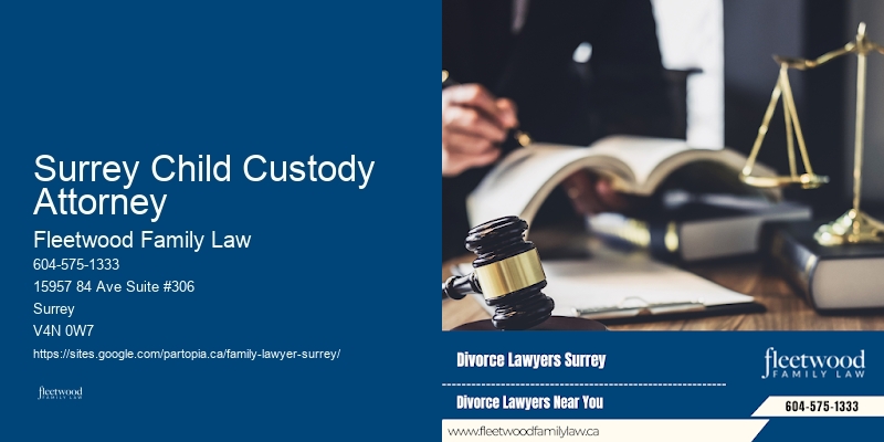 Family Lawyer Surrey Child Custody Attorney Solutions