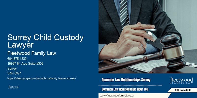 Surrey Child Custody Lawyer Family Lawyer Expertise And Testimonials