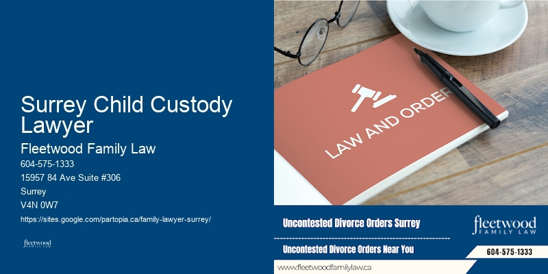 Surrey Child Custody Lawyer Family Court Lawyer