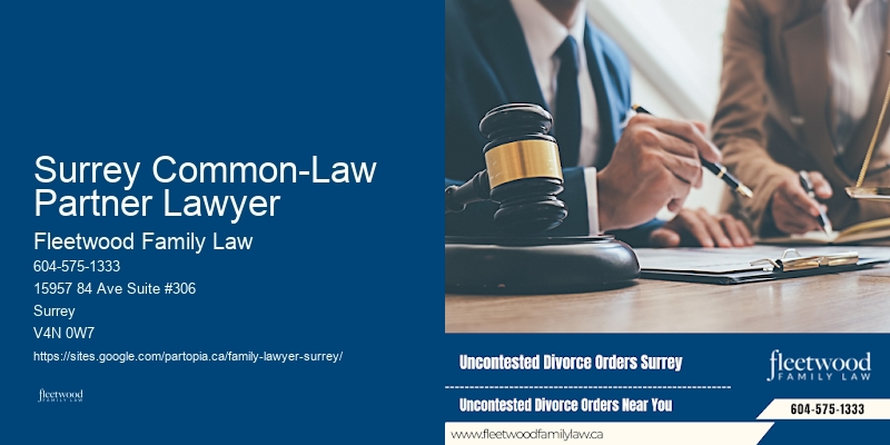 Family Lawyer Surrey Common-Law Partner Lawyer Legal Counsel
