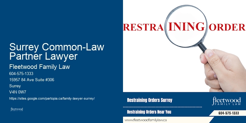 Top-rated Family Lawyer Surrey Common-Law Partner Lawyer