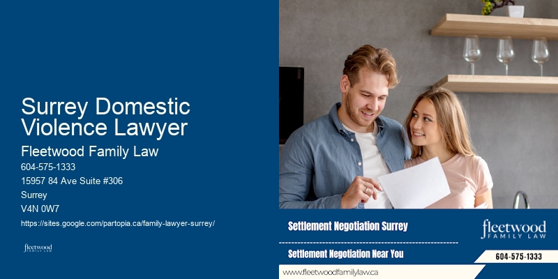 Surrey Domestic Violence Lawyer Family Lawyer Testimonials