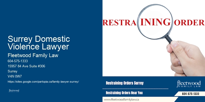 Child Custody Consultant