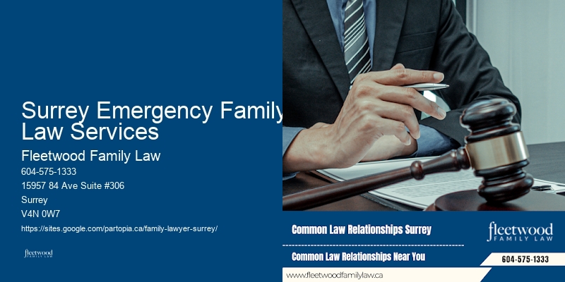Premier Family Lawyer Surrey Emergency Family Law Services