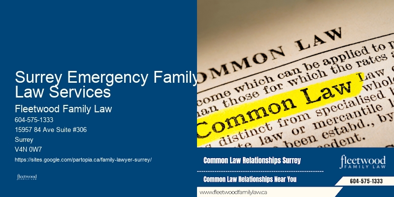Family Law Consultation