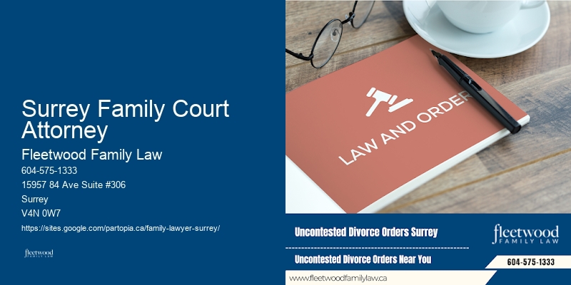 Family Lawyer Surry Hills