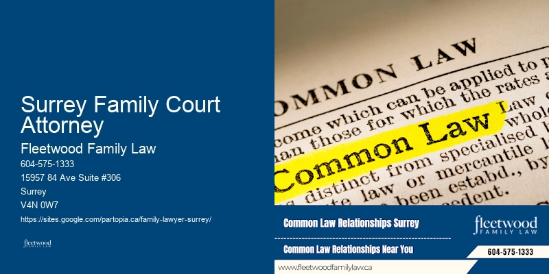 Surrey Family Court Attorney Family Lawyer Recommendations And Reviews