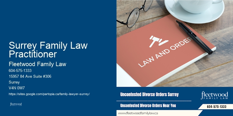 Family Court Attorney
