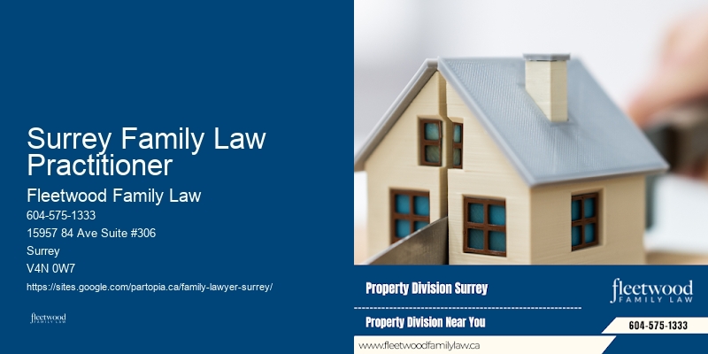 Family Lawyer Surrey Family Law Practitioner Court Representation