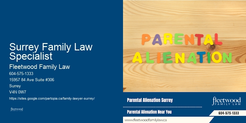 Surrey Family Law Specialist Child Custody and Support Lawyer