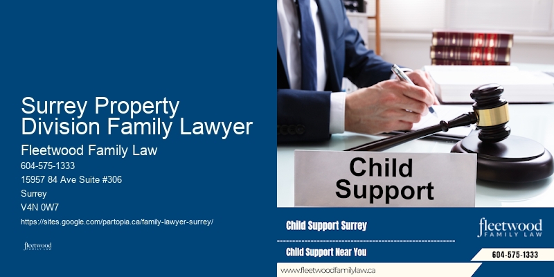 Reliable Family Lawyer Surrey Property Division Family Lawyer