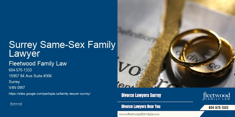 Low-Cost Family Lawyer Options