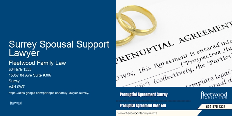 Family Lawyer Surrey Spousal Support Lawyer Assistance