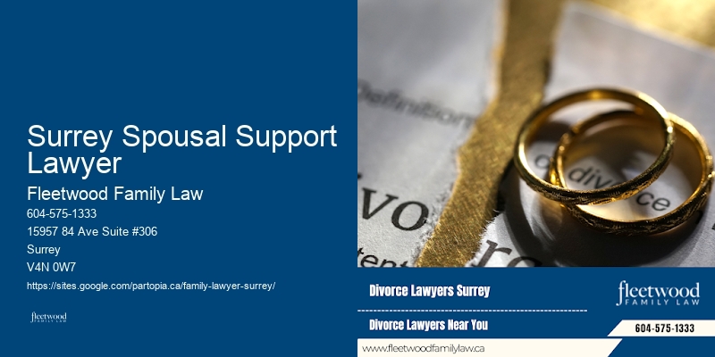 Exceptional Family Lawyer Surrey Spousal Support Lawyer