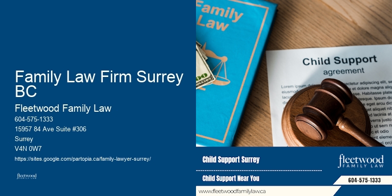Dynamic Family Lawyer Family Law Firm Surrey BC