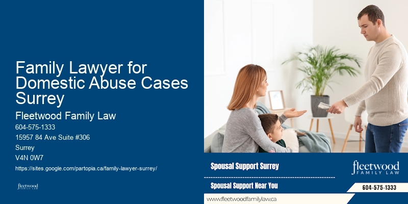 Family Lawyer Cost Efficiency