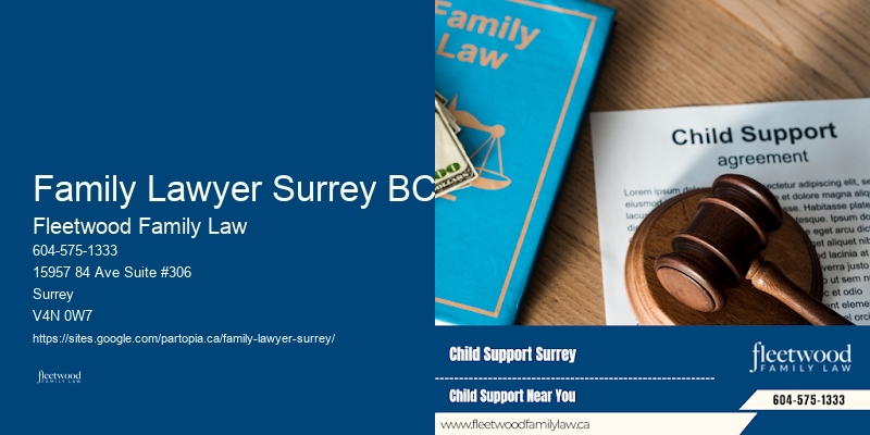 Family Law Lawyers In Family Lawyer Surrey BC