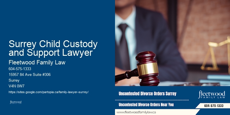 Surrey Child Custody and Support Lawyer