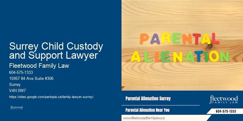 Seasoned Family Lawyer Surrey Child Custody and Support Lawyer