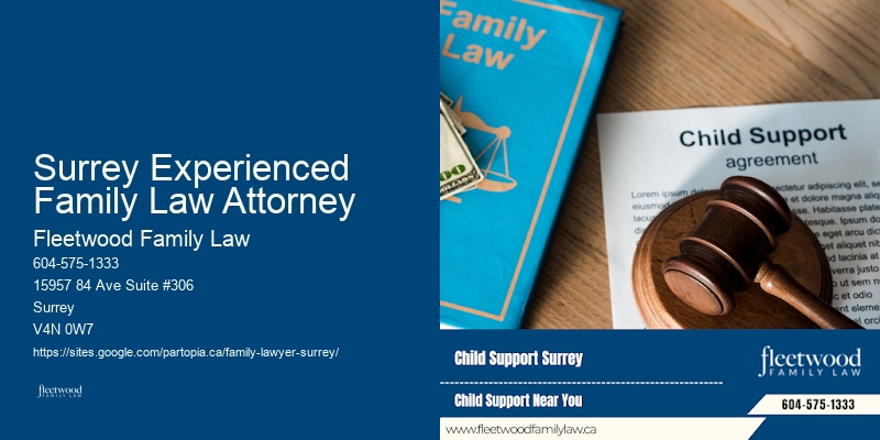 Surrey Experienced Family Law Attorney Family Law Litigation