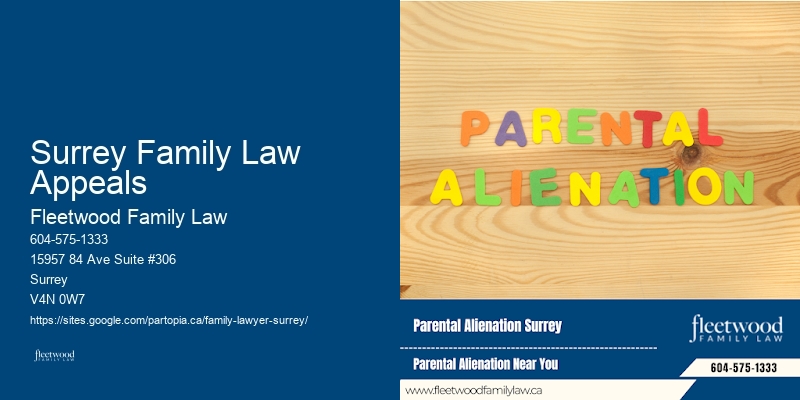 Professional Family Lawyer Surrey Family Law Appeals
