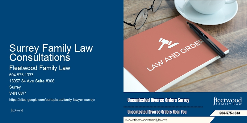 Family Legal Consultant