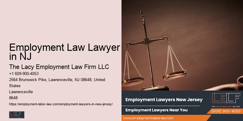 Top Employment Lawyer Employment Law Lawyer in NJ
