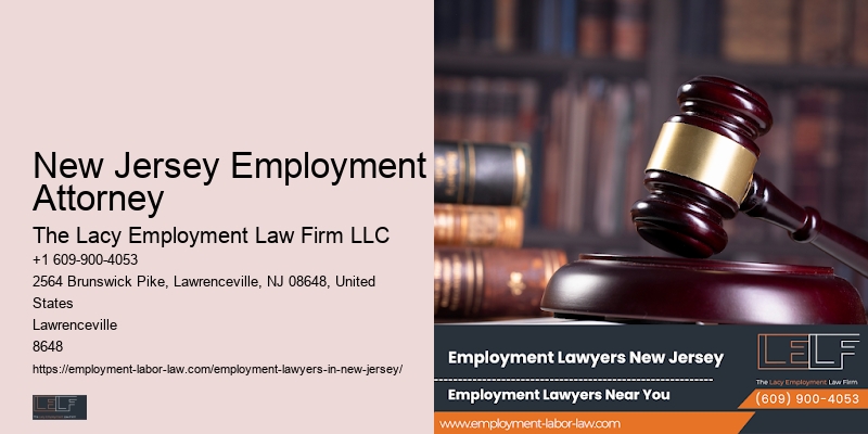 Employment Rights Lawyer