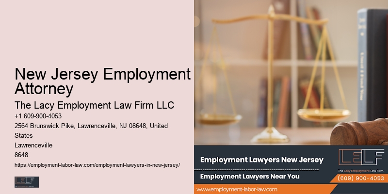Business Lawyers