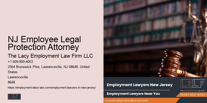 Employment Rights Lawyer