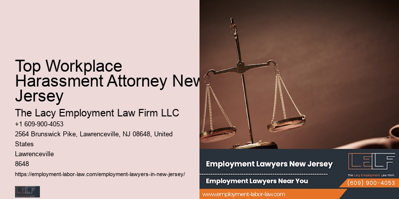 Workplace Lawyer