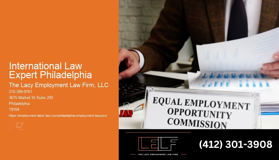 Federal Appeals Lawyer International Law Expert Philadelphia