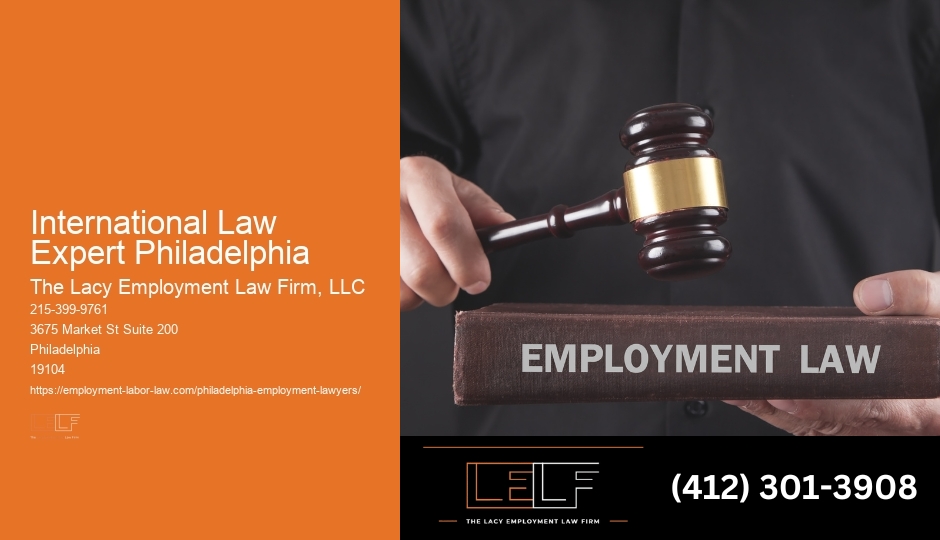 International Law Expert Philadelphia Affordable Legal Firm