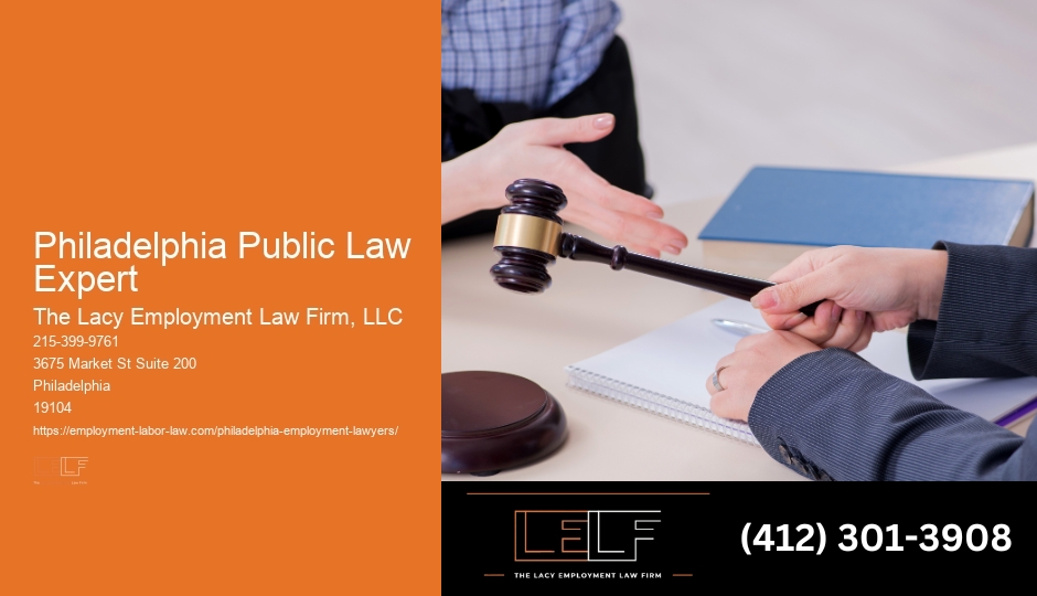 Certified Philadelphia Public Law Expert Law Consultant