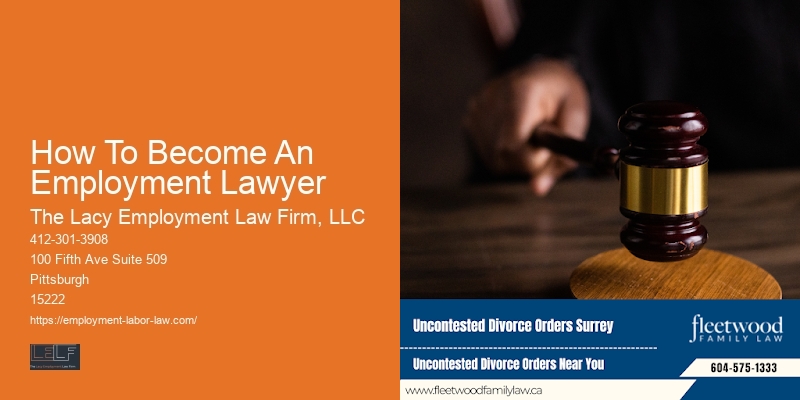 How To Become An Employment Lawyer