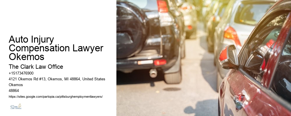 Auto Injury Compensation Lawyer Okemos