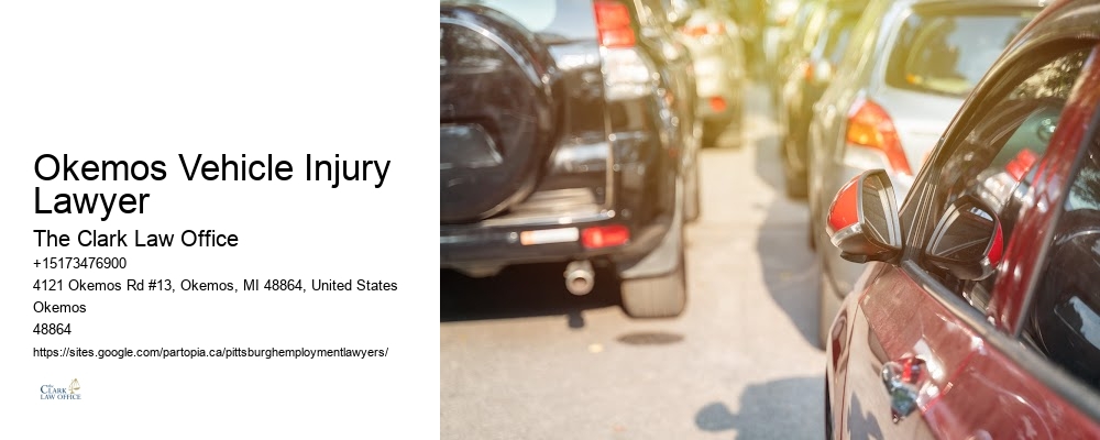 Okemos Vehicle Injury Lawyer