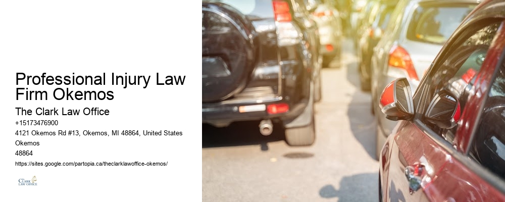Professional Injury Law Firm Okemos