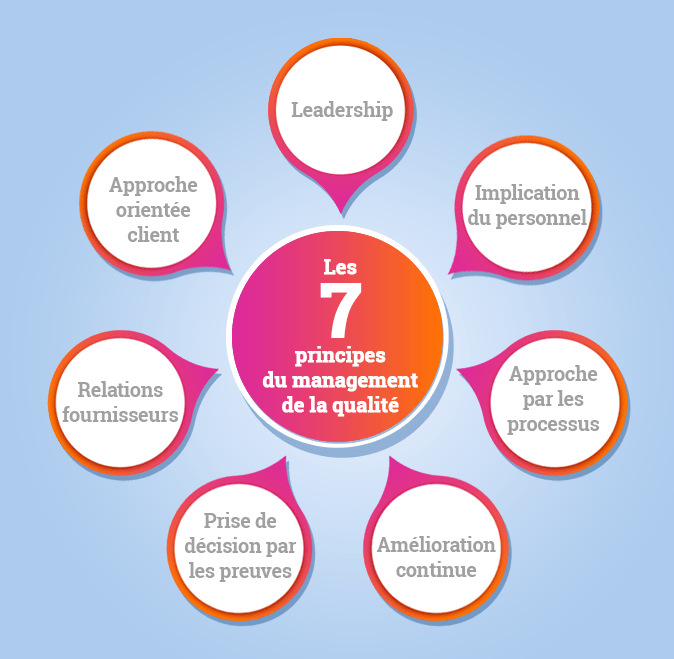 Diagramme des 7 principes du management de la qualité