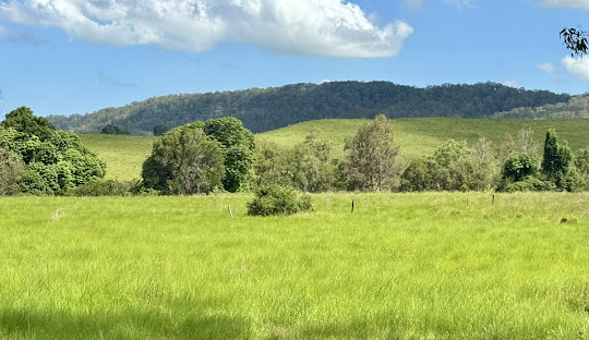 Lismore's Early Economic Growth: From Timber and Cattle to Dairy and Infrastructure Development
