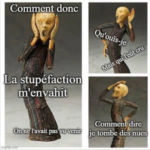 Meme image