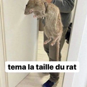 Meme image