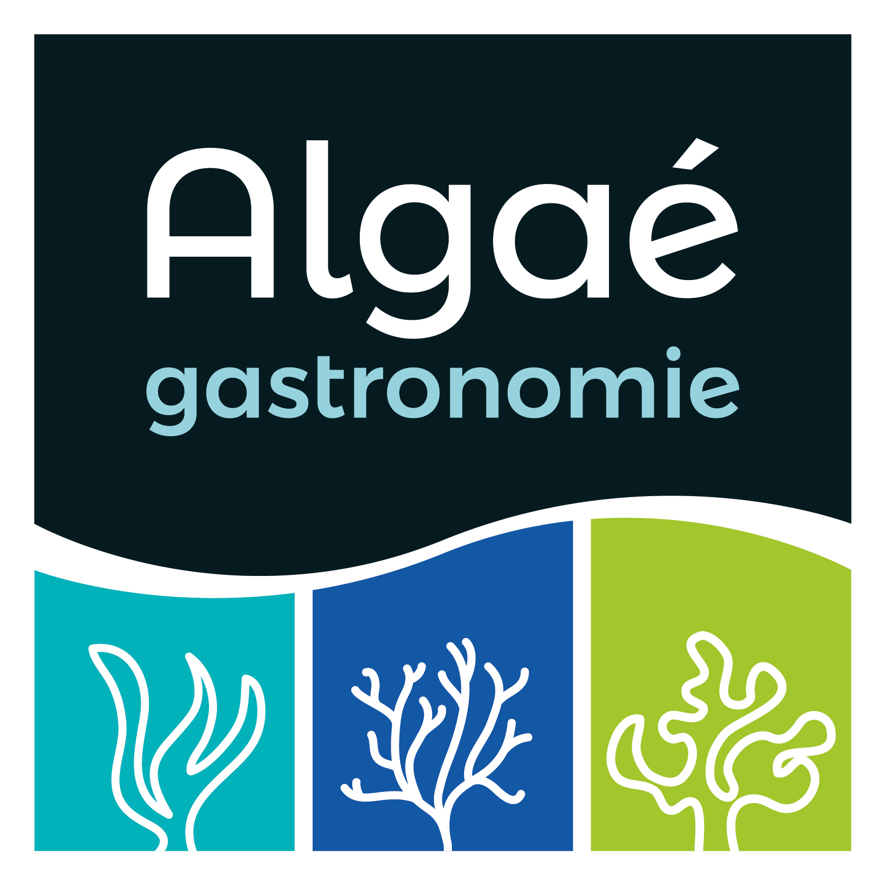Algaé Gastronomie