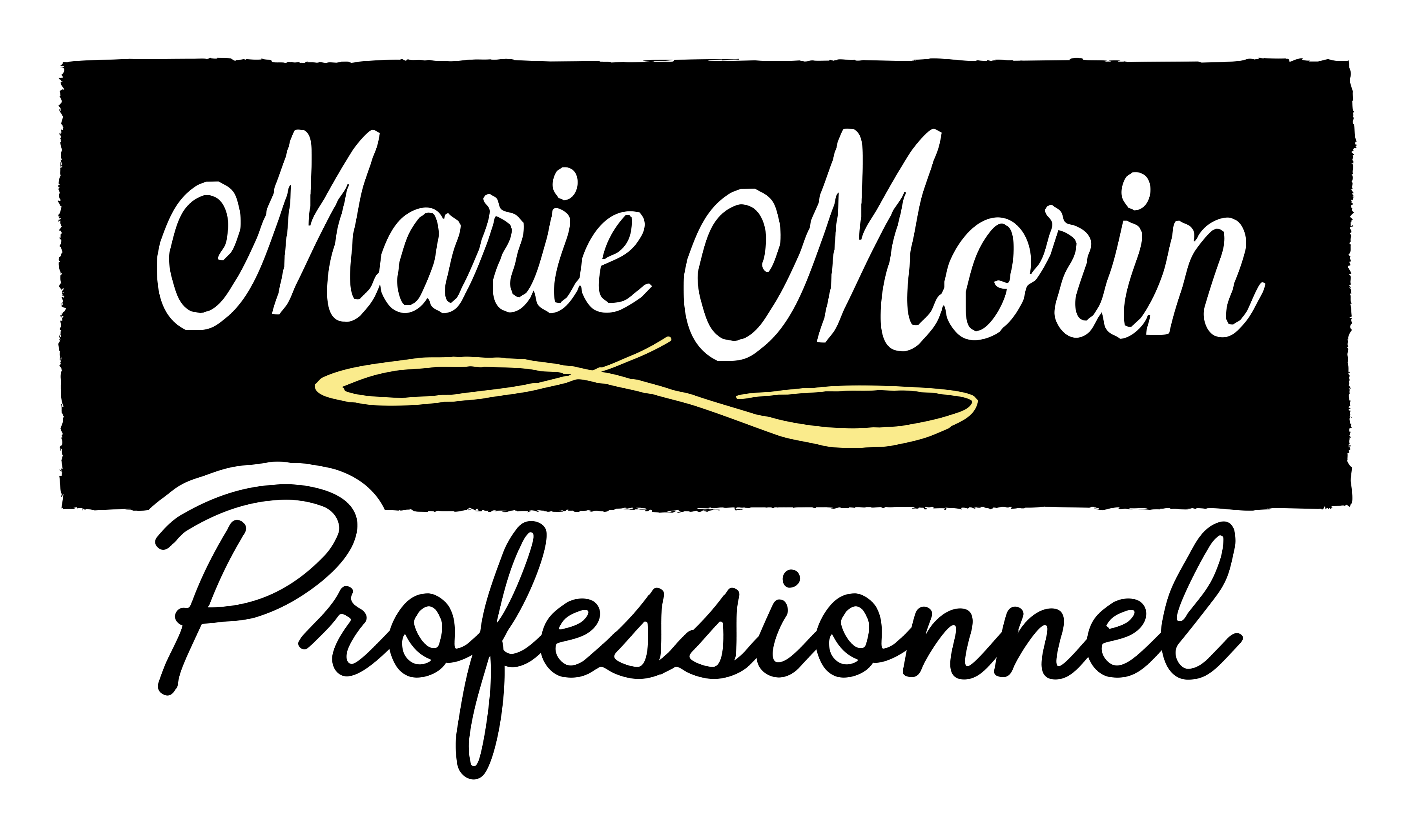 Marie Morin Professionnel