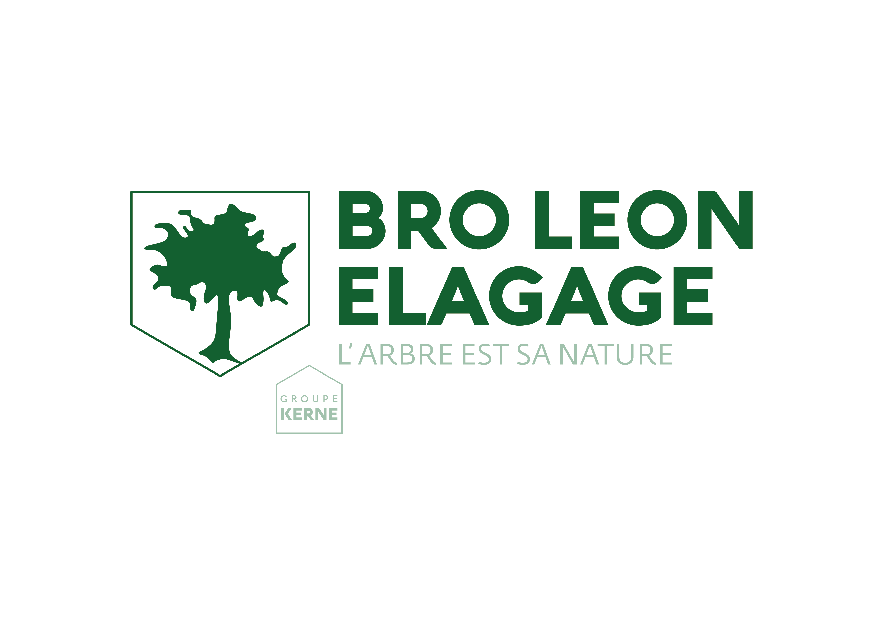 Bro leon elagage
