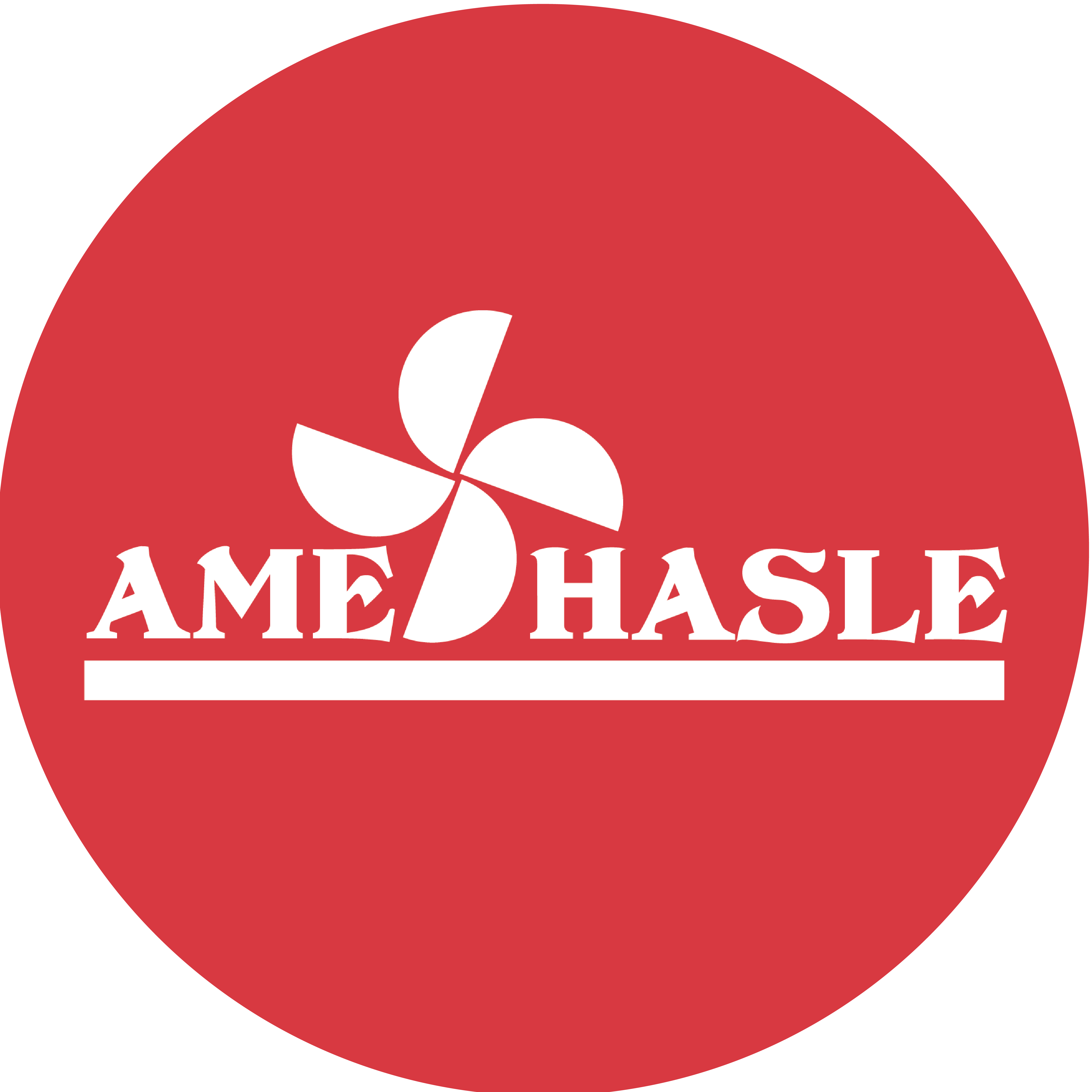 Ame hasle