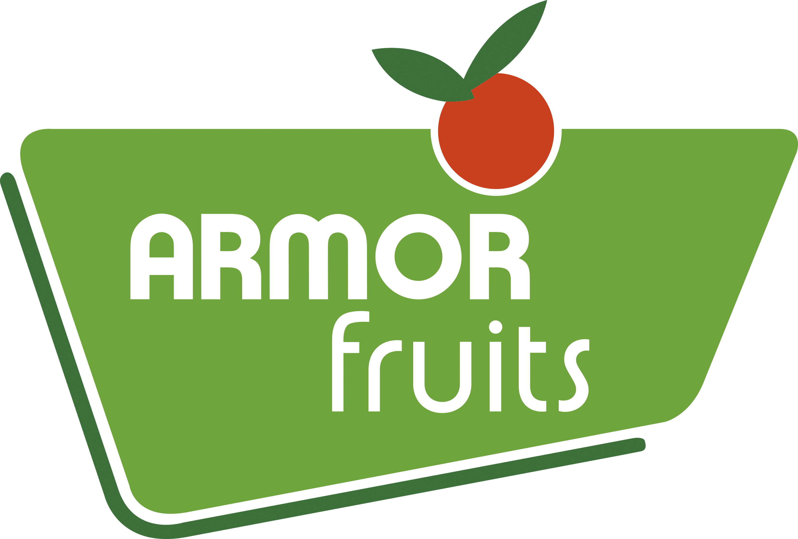 Armor fruits